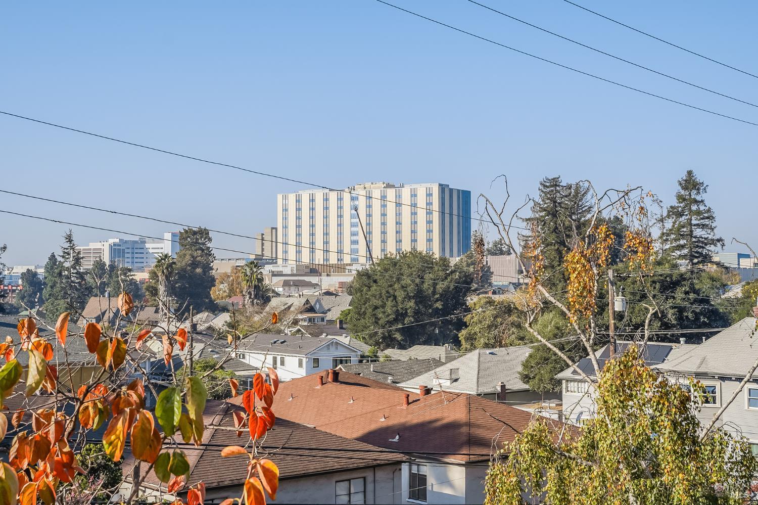 220 Monte Vista Ave