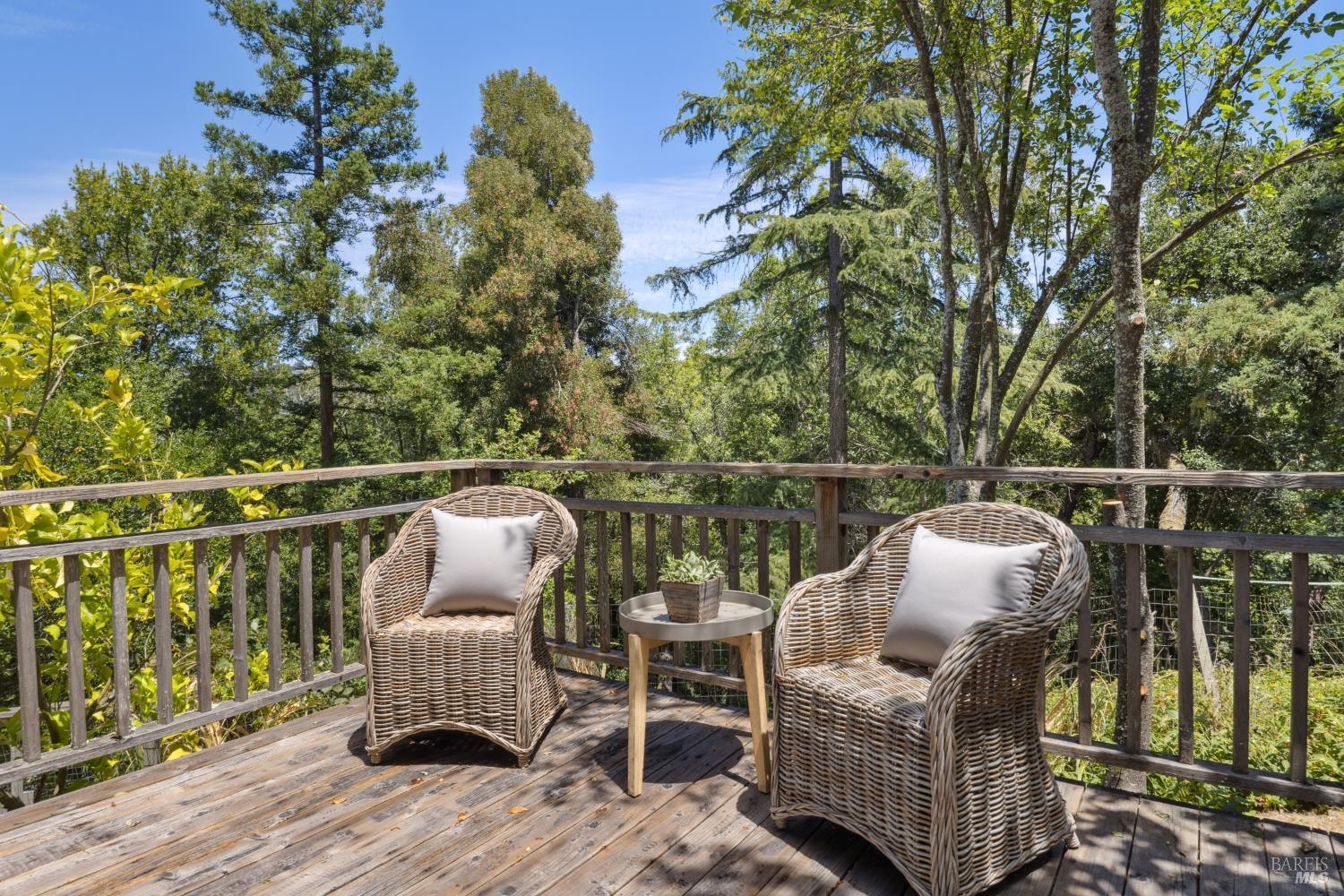63 Ivy Dr