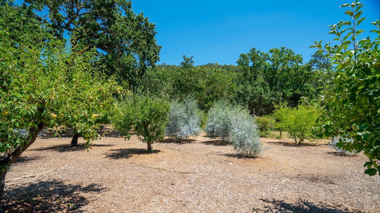 1795 Warm Springs Rd