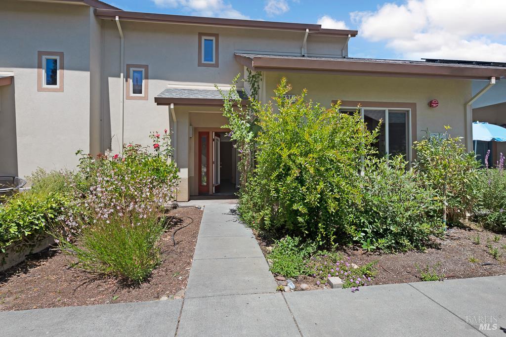 439 Sequoia Ln