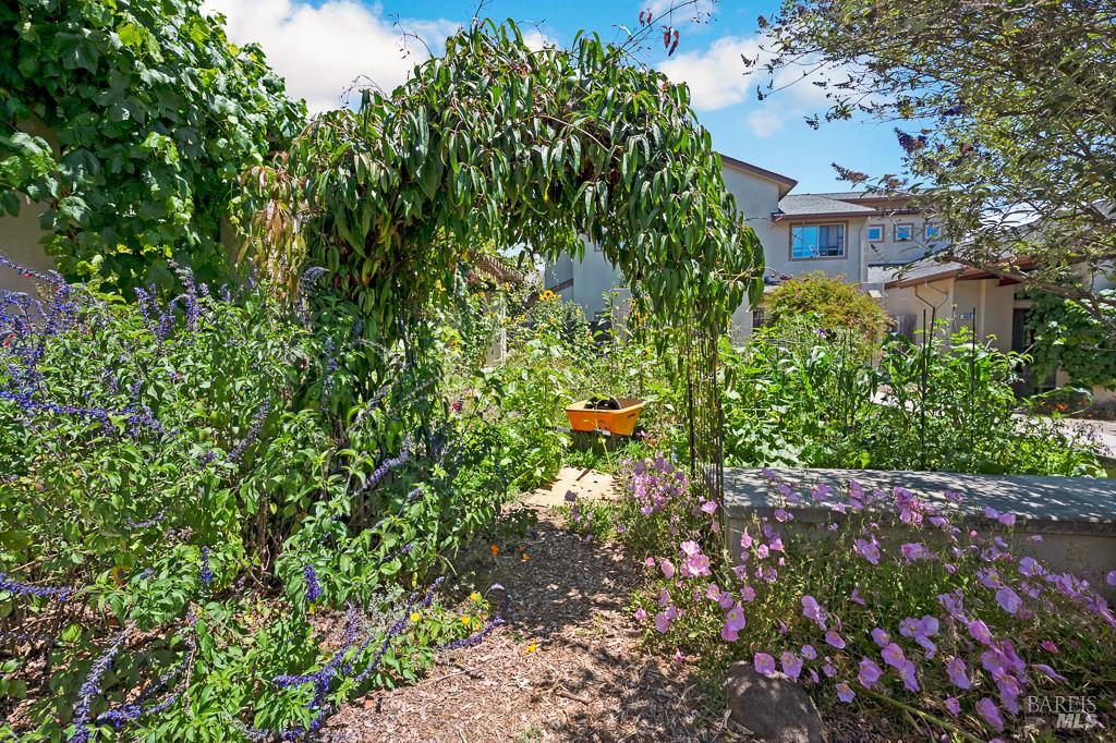 439 Sequoia Ln