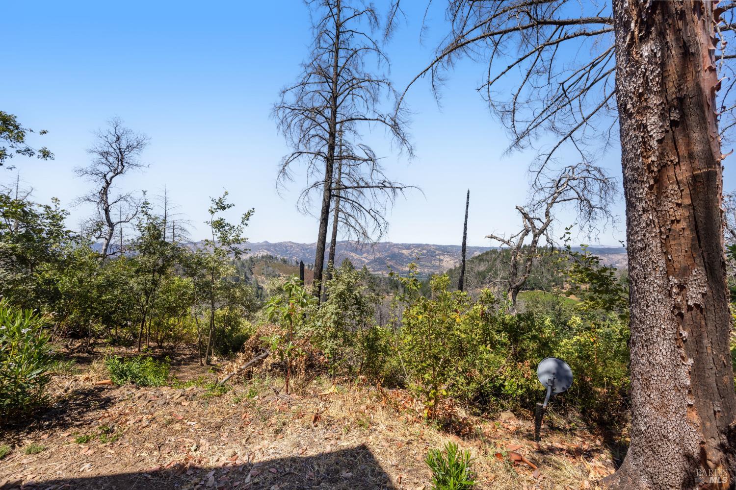 3880 Spring Mountain Rd