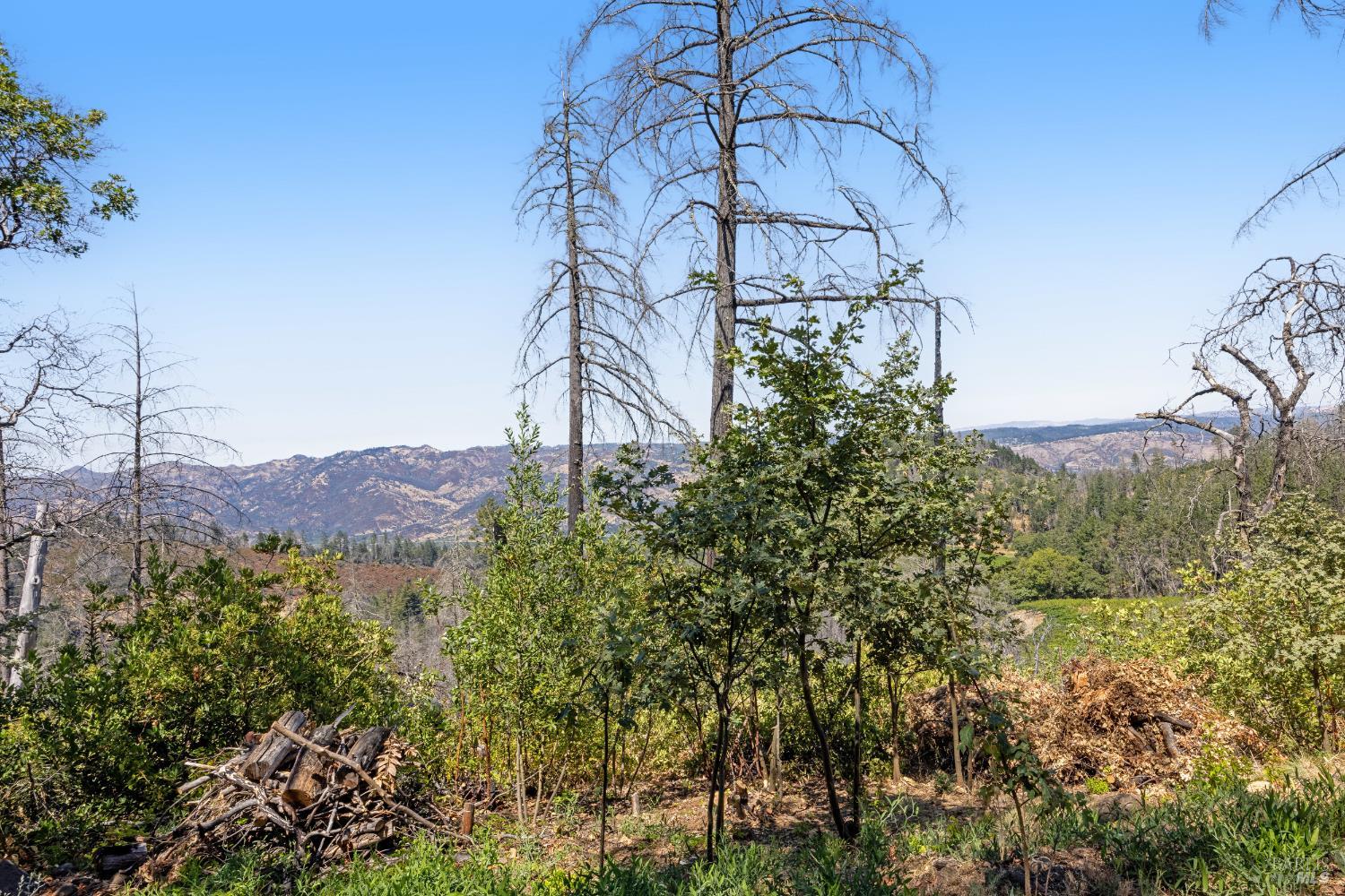 3880 Spring Mountain Rd