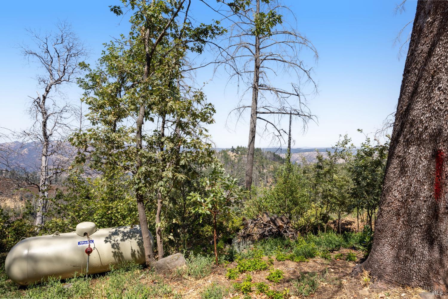 3880 Spring Mountain Rd