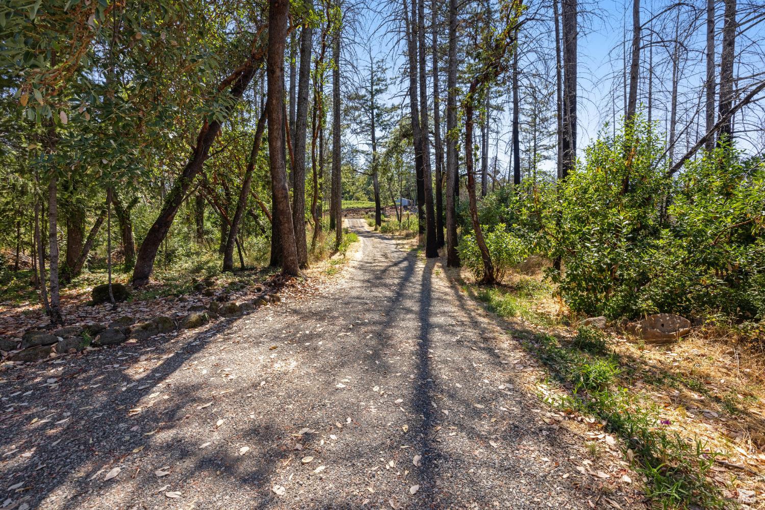 3880 Spring Mountain Rd