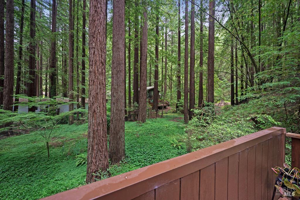 2305 Cazadero Hwy
