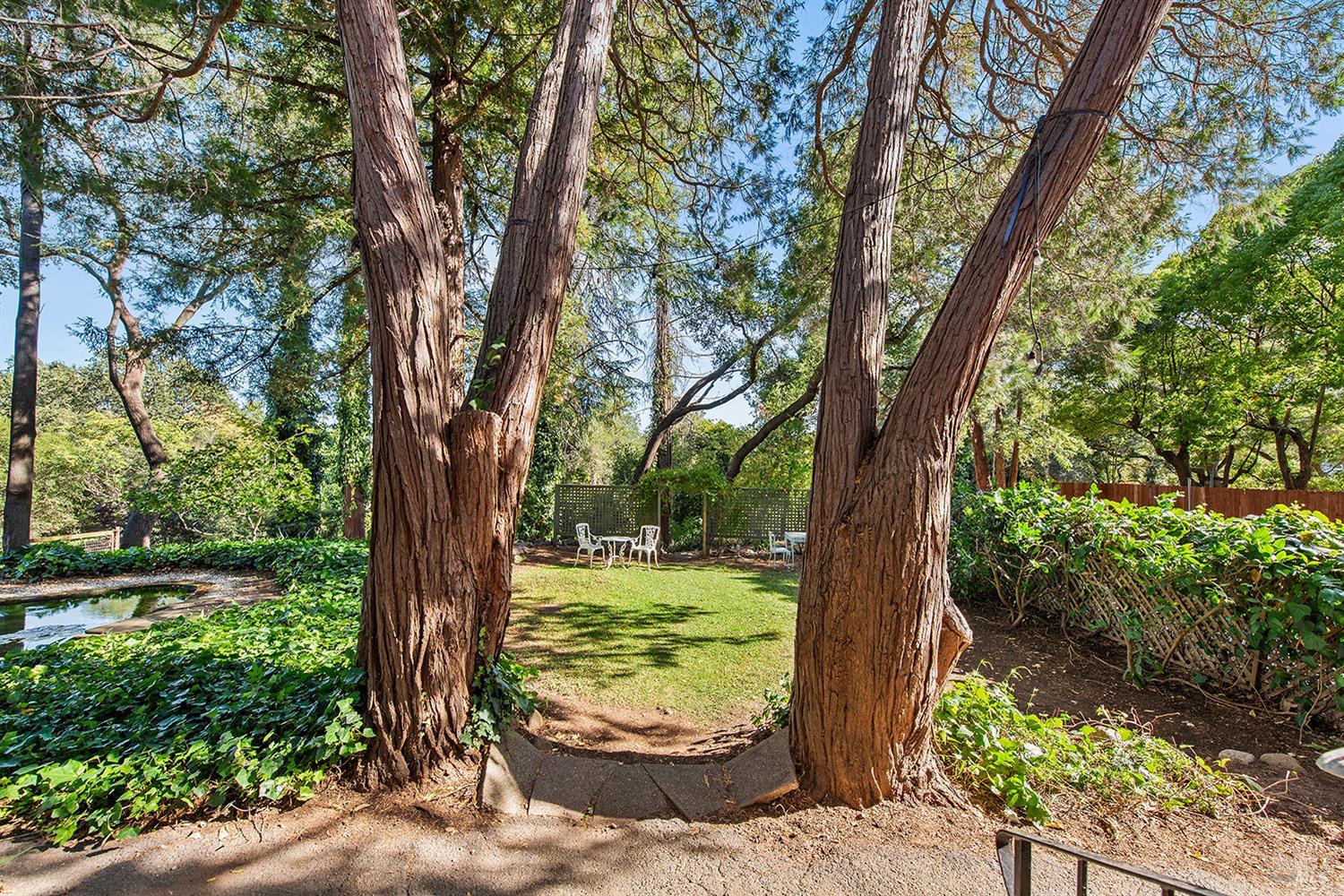 650-660 S Fitch Mountain Rd