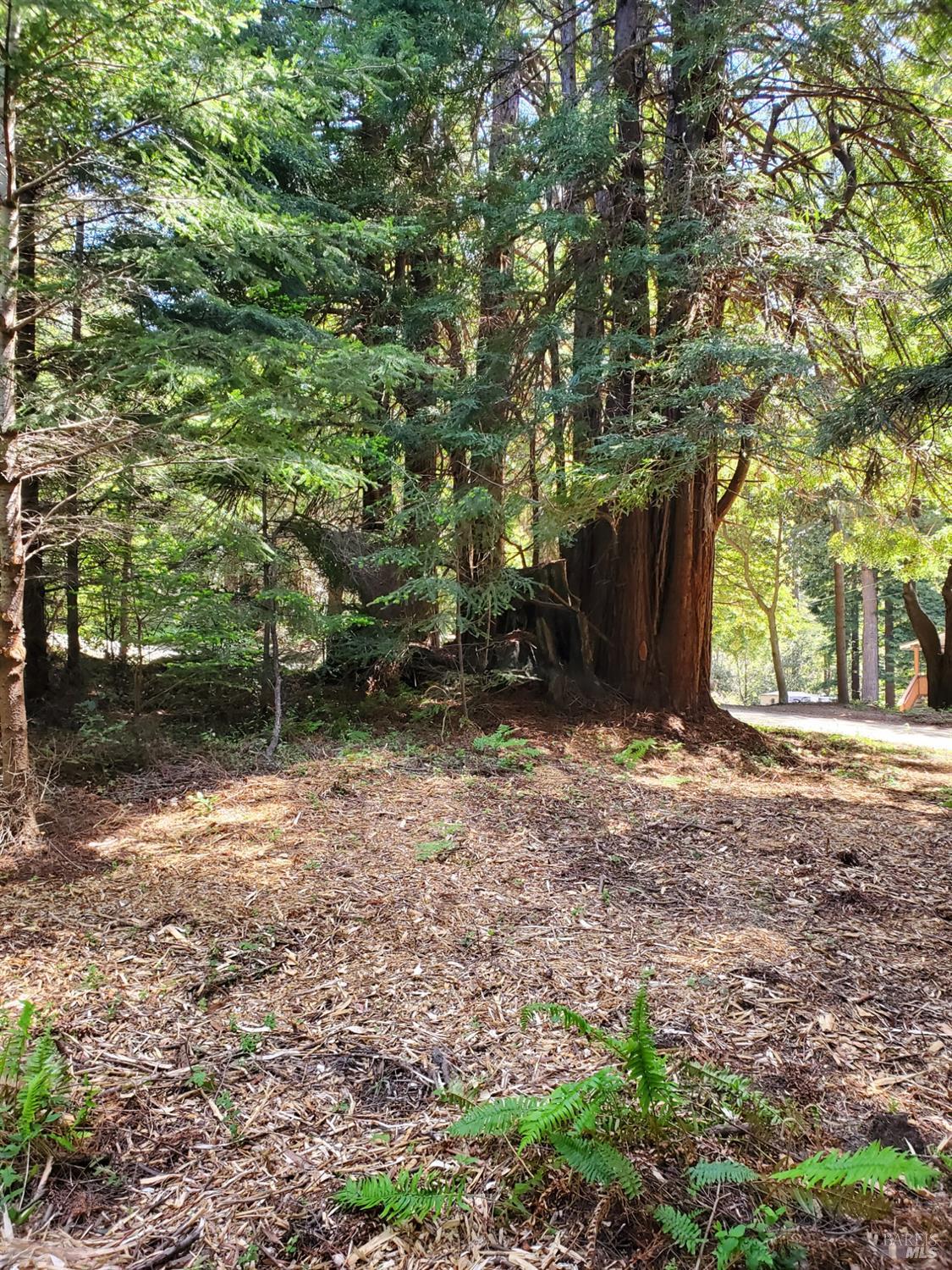 46750 Schooner Gulch Road