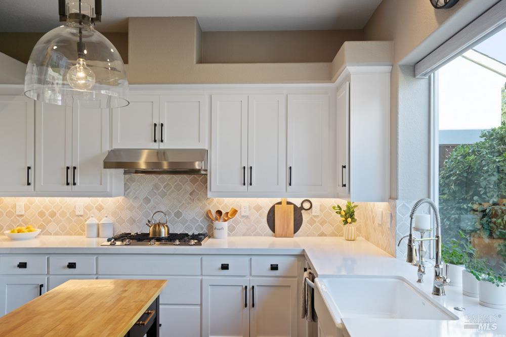 1916 Turtle Creek Way