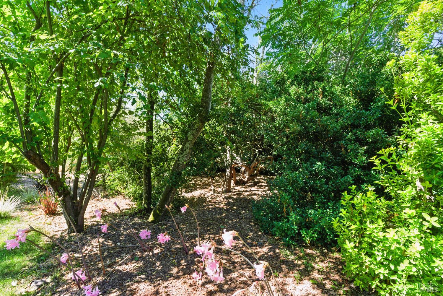 6750 Petaluma Hill Road