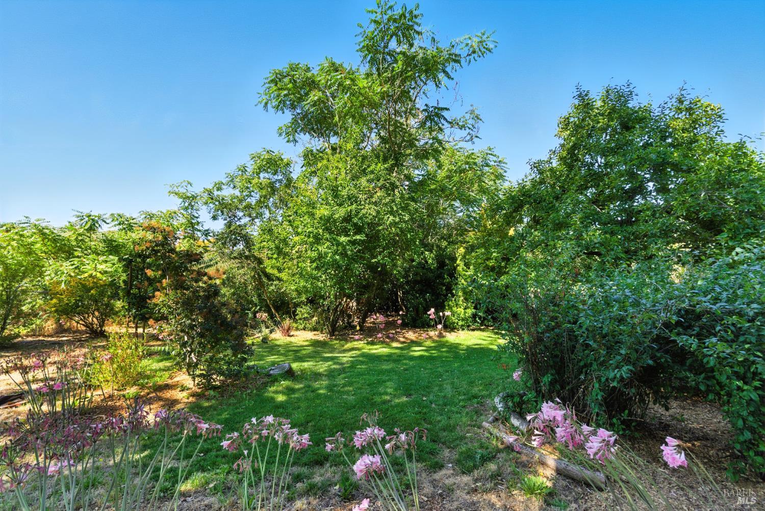 6750 Petaluma Hill Road