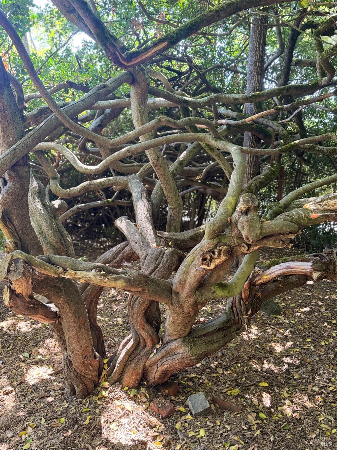 6750 Petaluma Hill Road