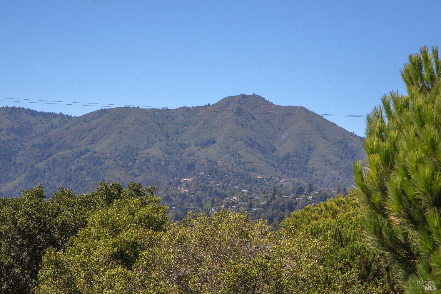 4 Eucalyptus Knoll St