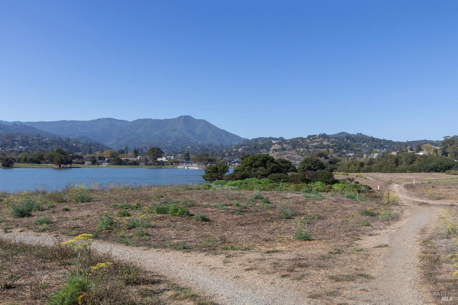 4 Eucalyptus Knoll St