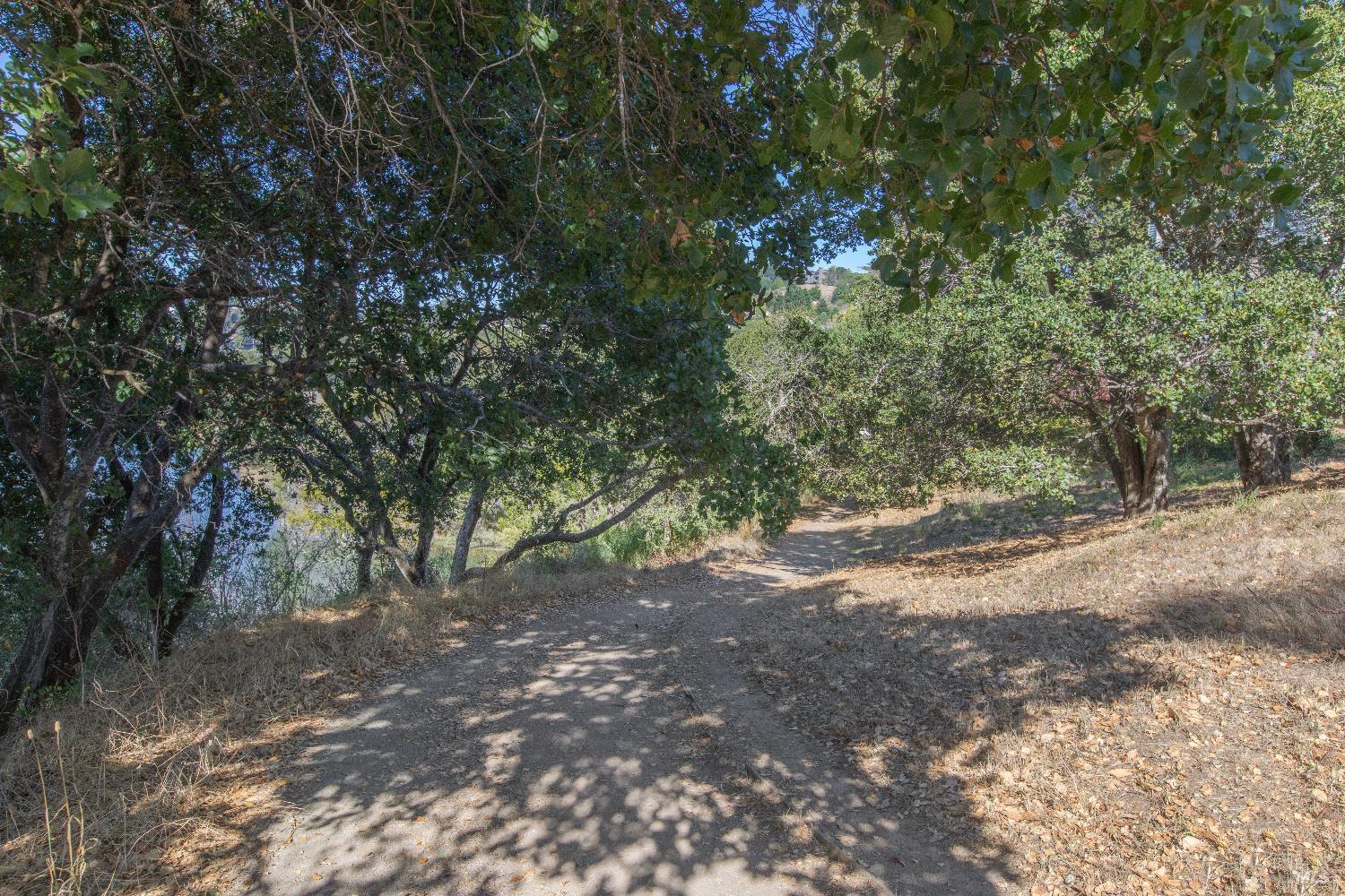 4 Eucalyptus Knoll St