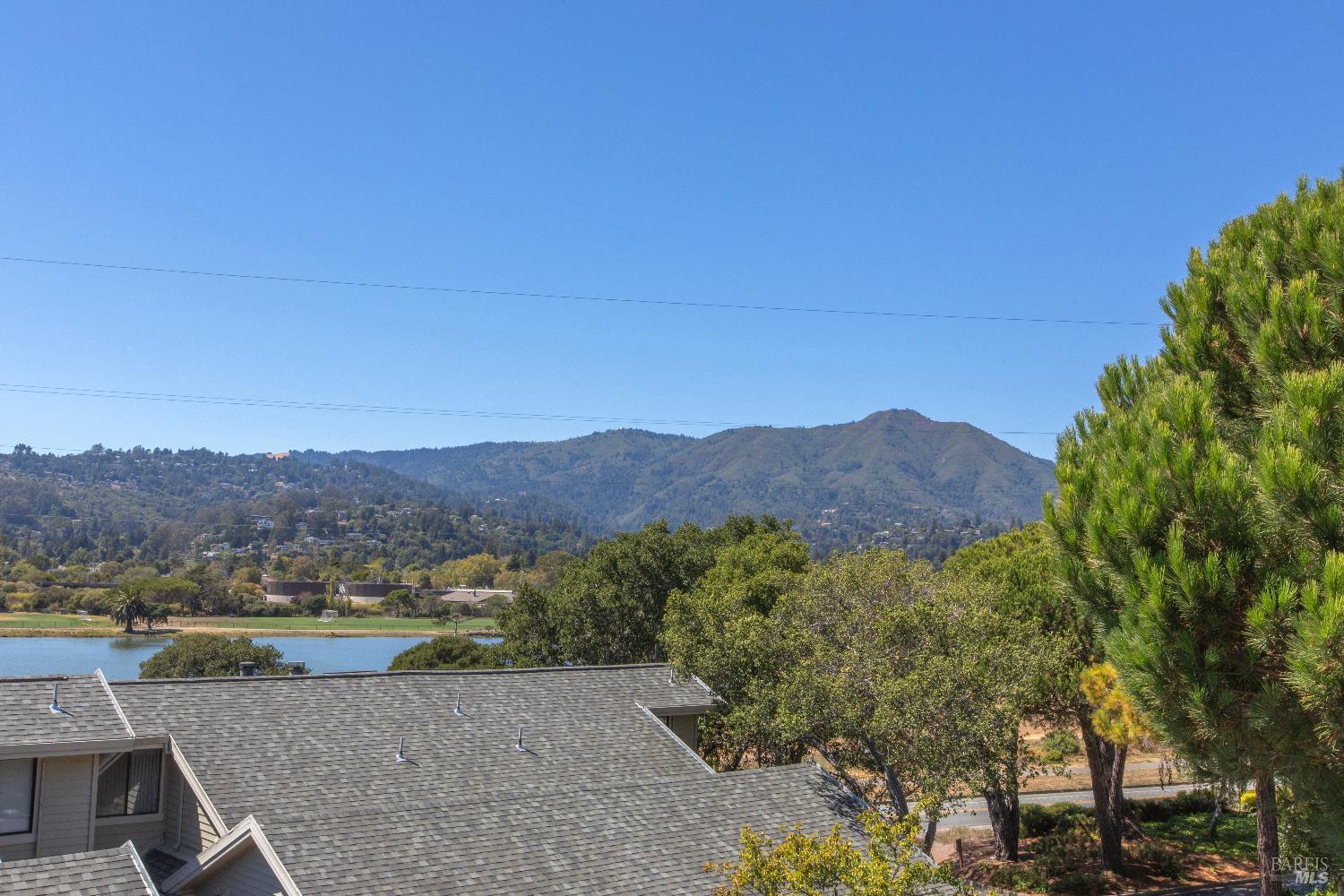 4 Eucalyptus Knoll St