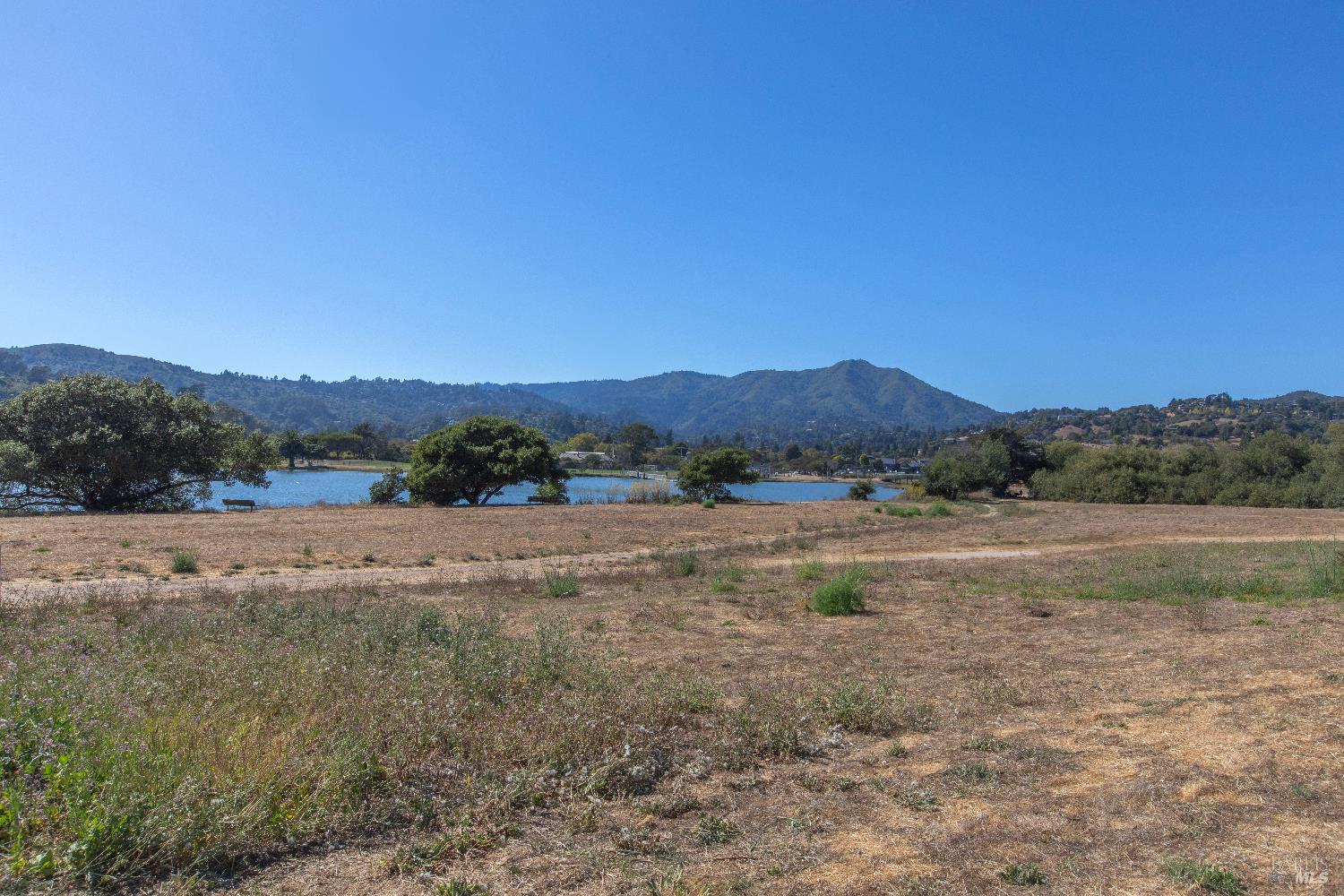 4 Eucalyptus Knoll St