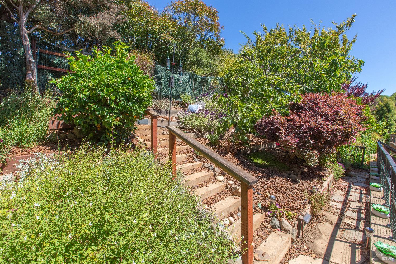 4 Eucalyptus Knoll St