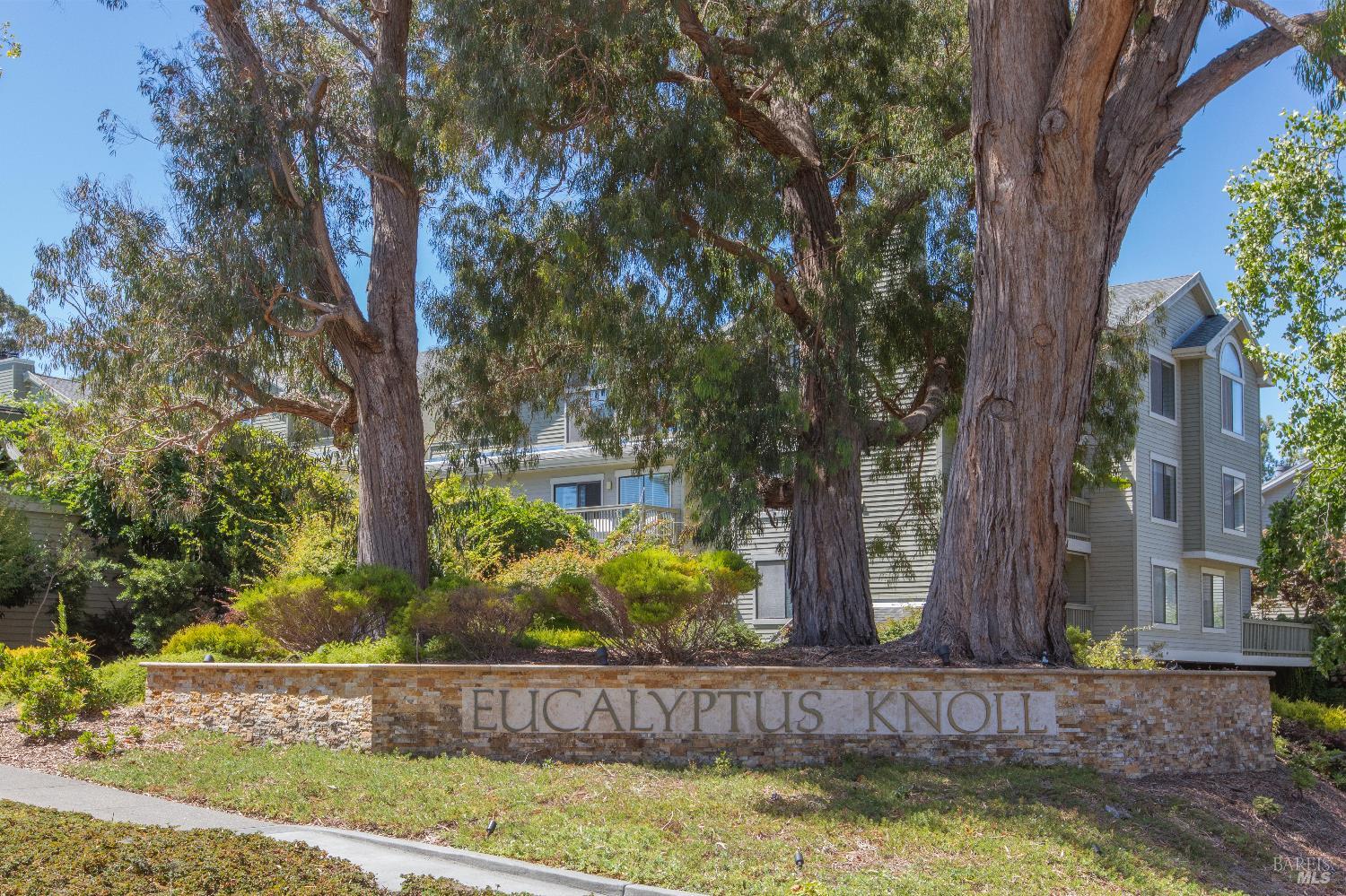 4 Eucalyptus Knoll St