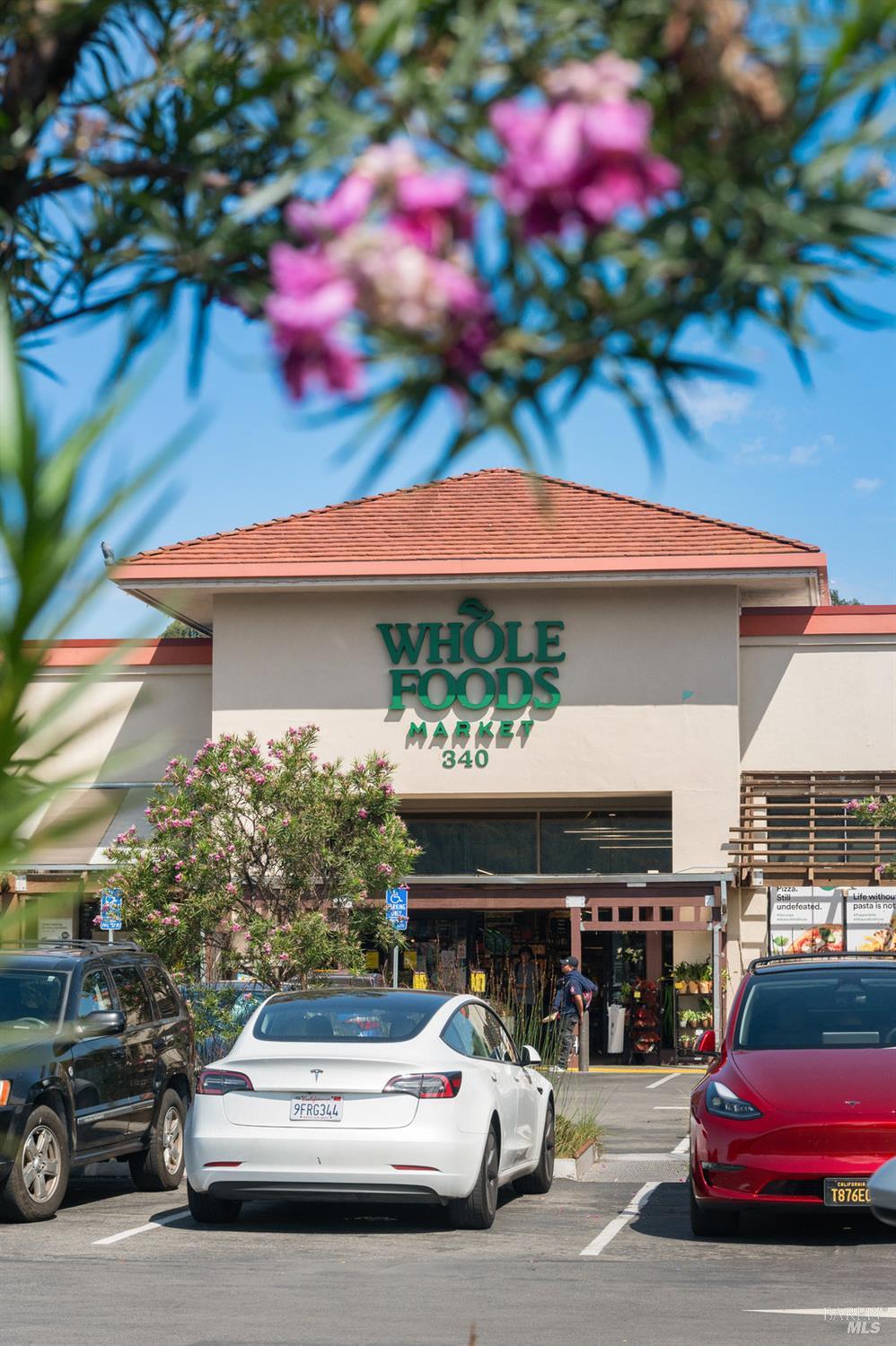 235 Mountain View Avenue