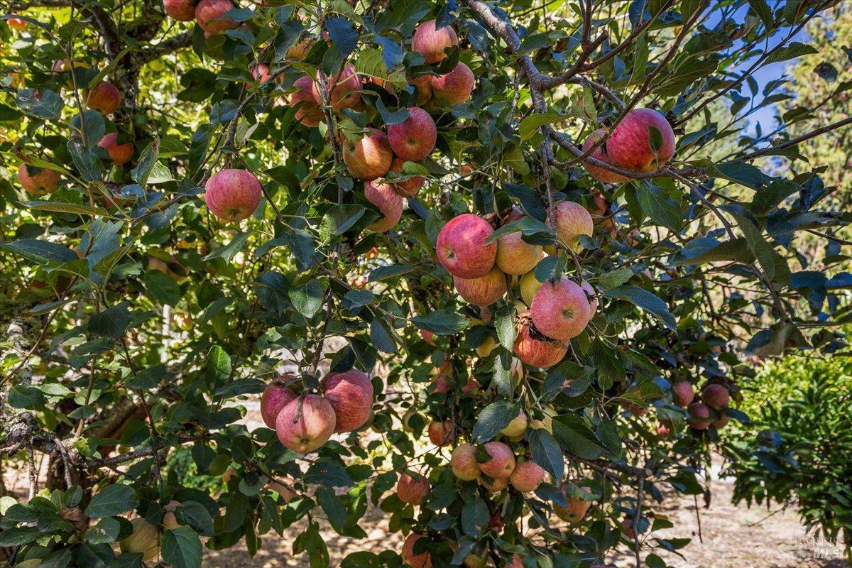 8750 Jeannette Avenue