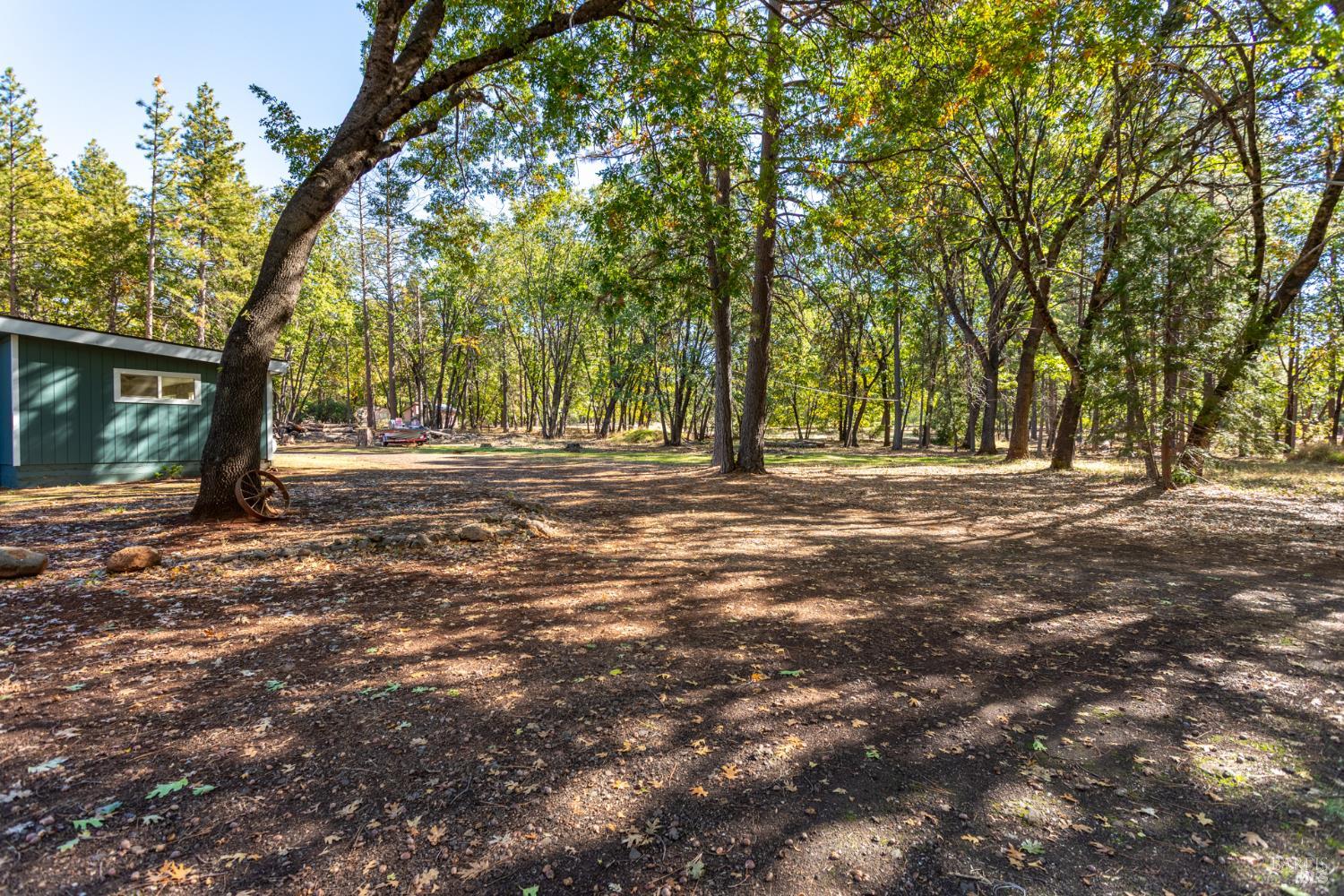 29282 Laurel Tree Ln