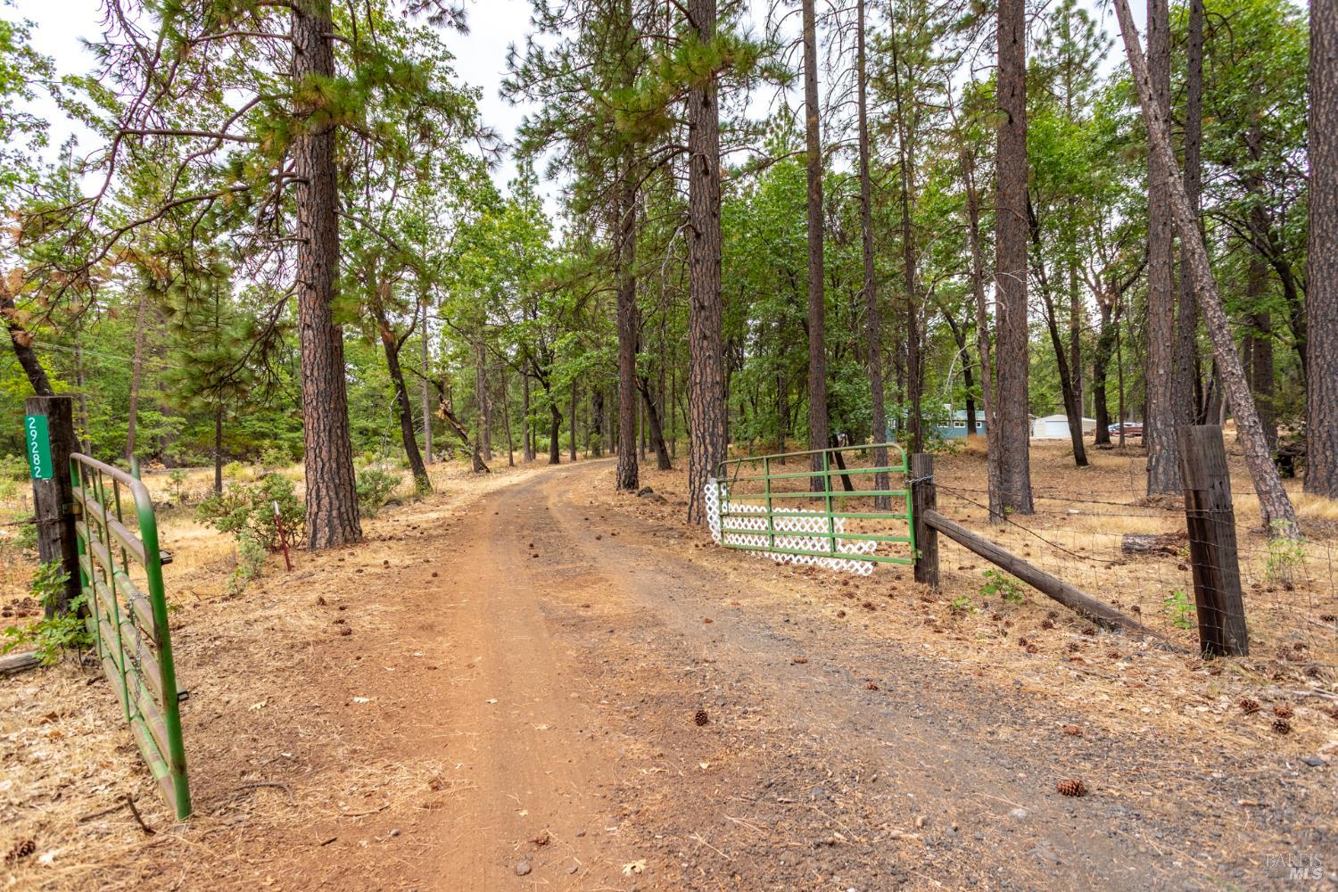 29282 Laurel Tree Ln