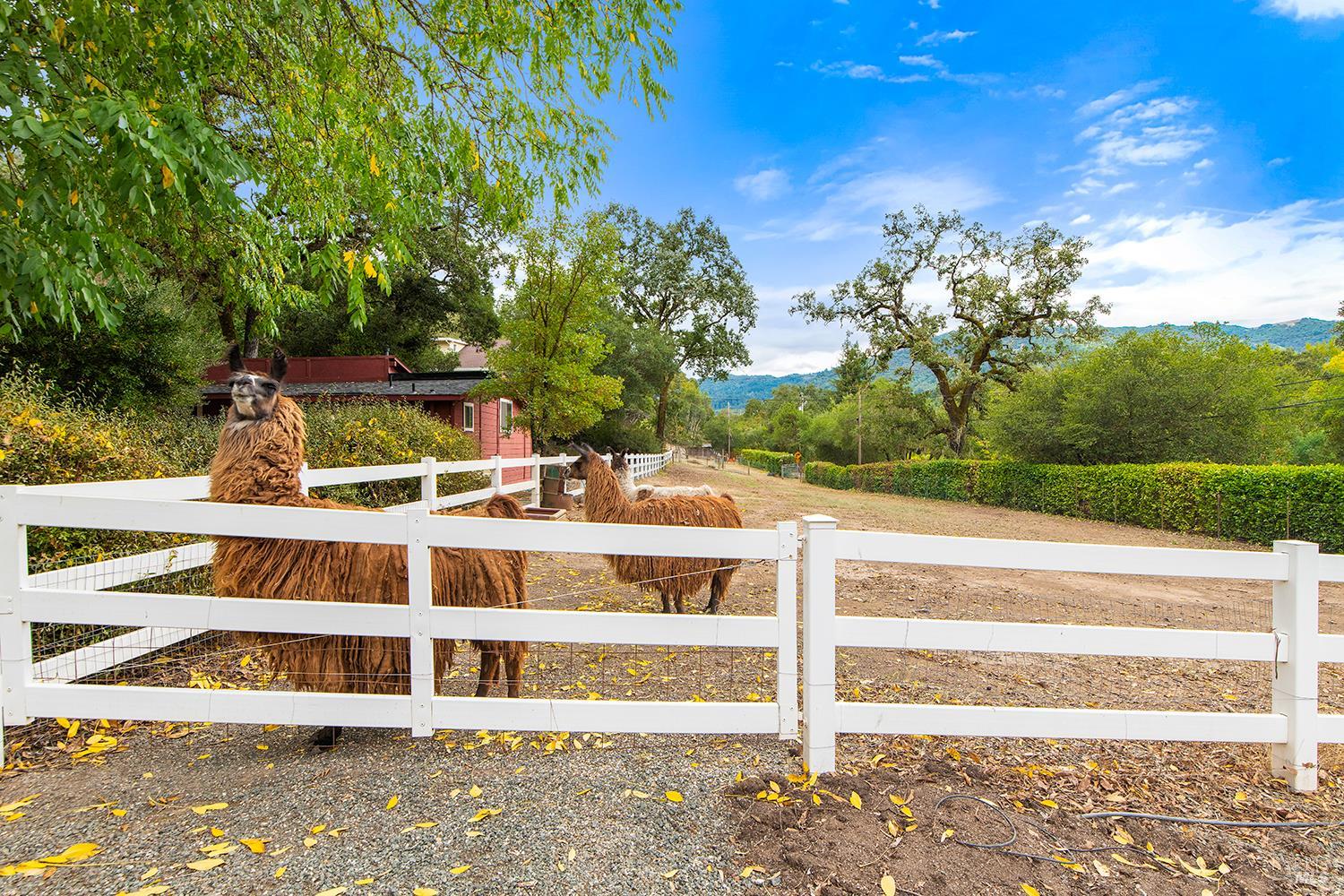 2550 Warm Springs Road
