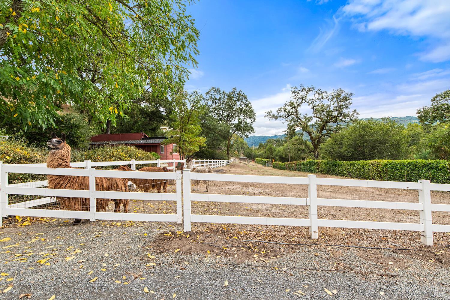 2550 Warm Springs Road