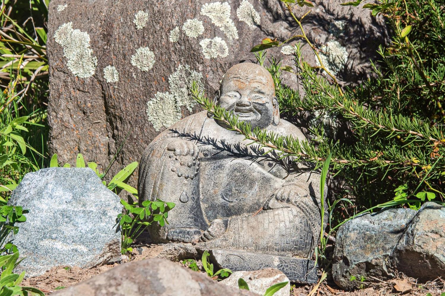 497 Pleasant Hill Rd