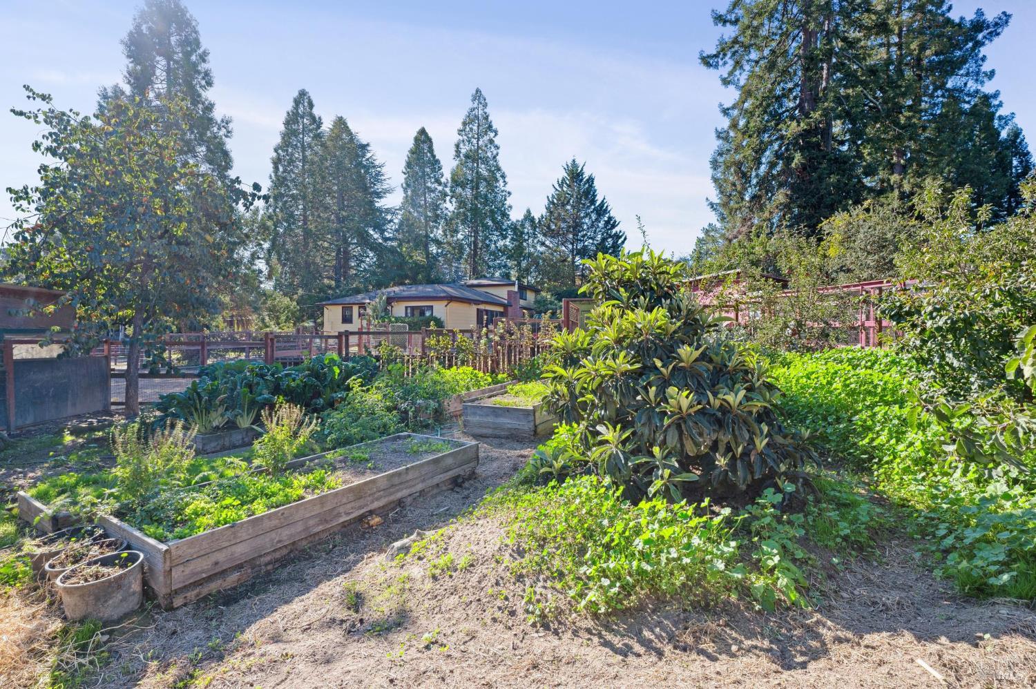 497 Pleasant Hill Rd