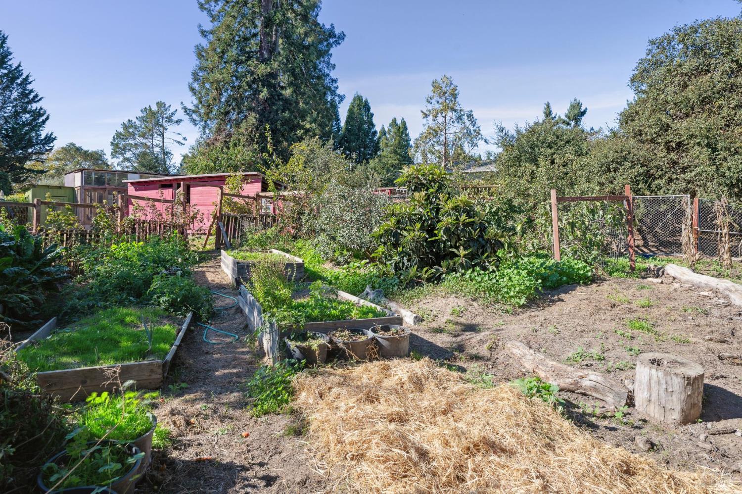 497 Pleasant Hill Rd