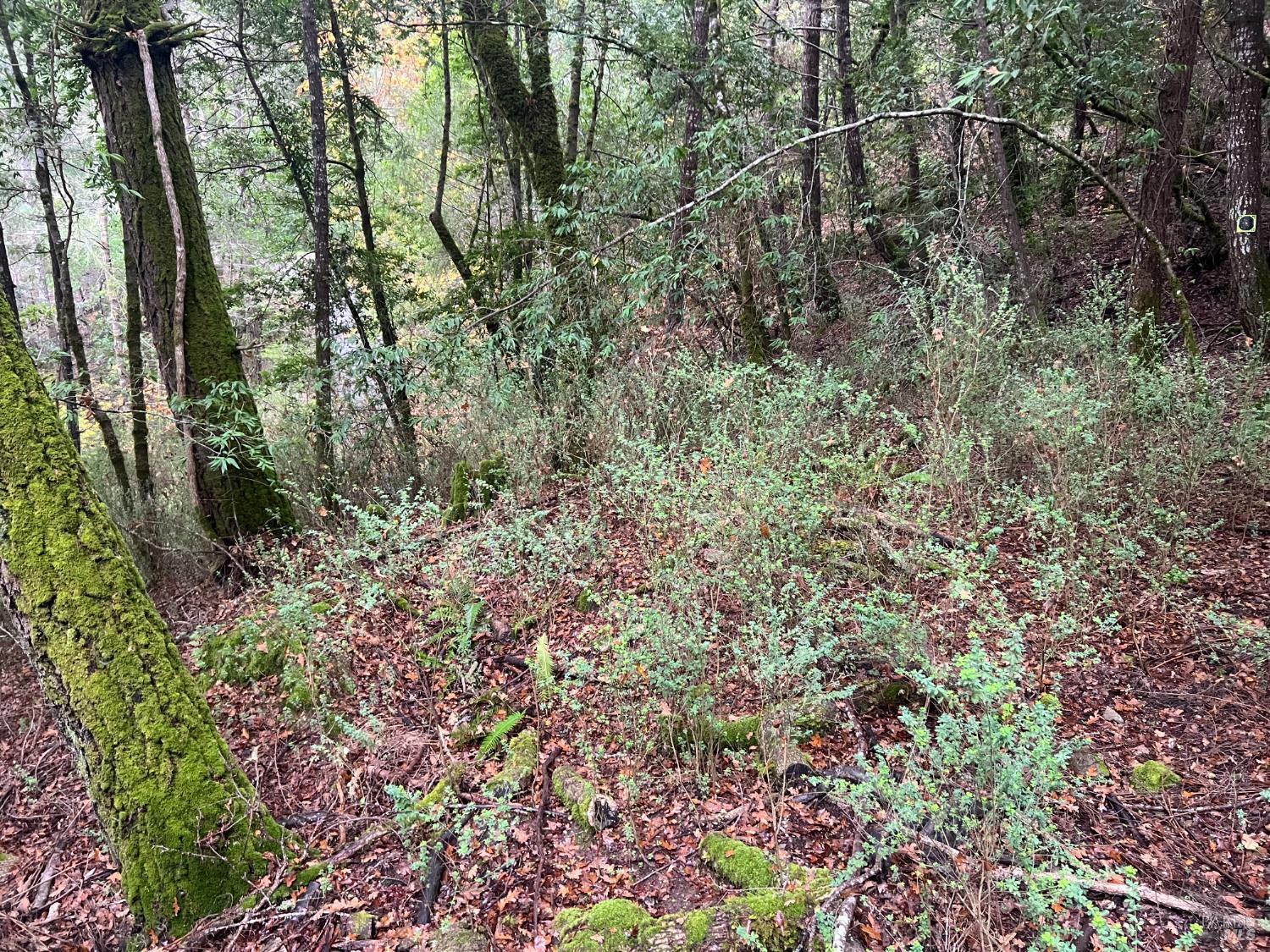 6075 Austin Creek Road