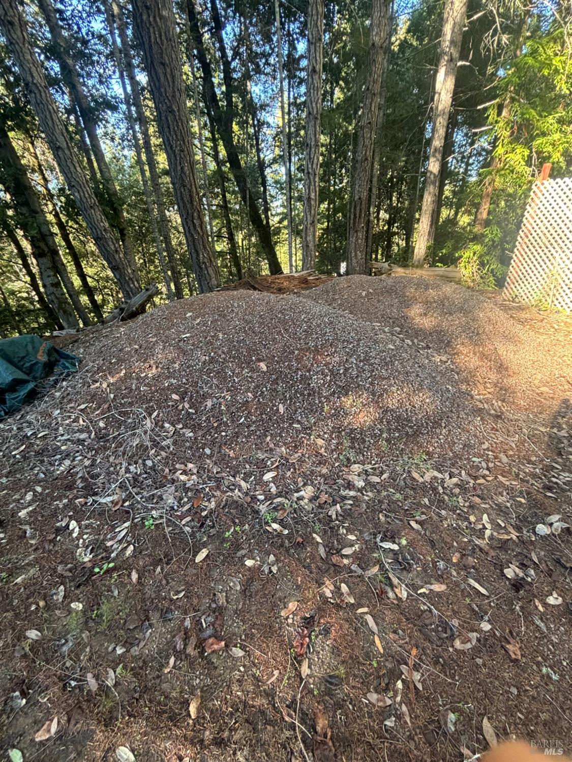 36000 Nash Mill Road