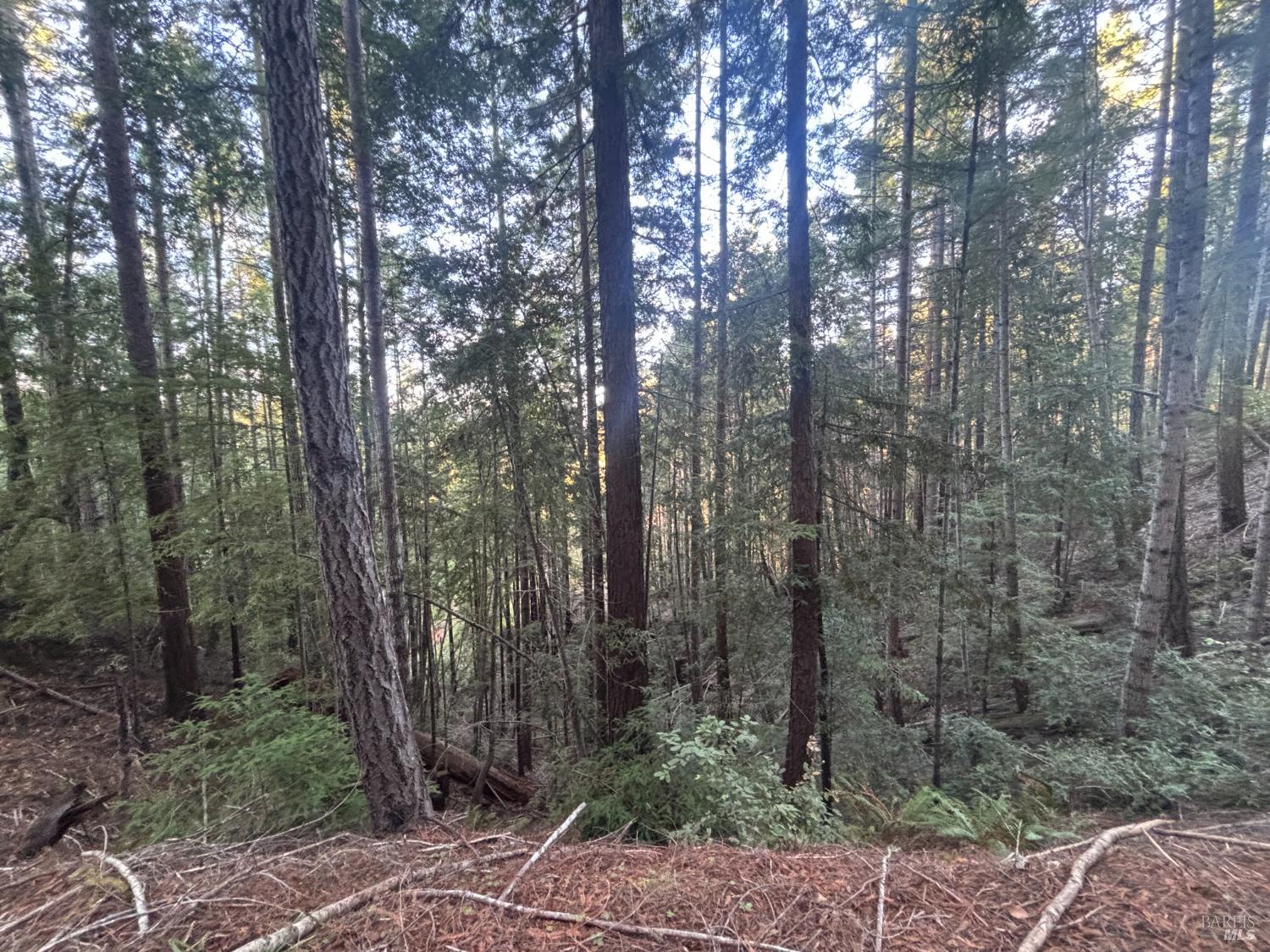 36000 Nash Mill Road