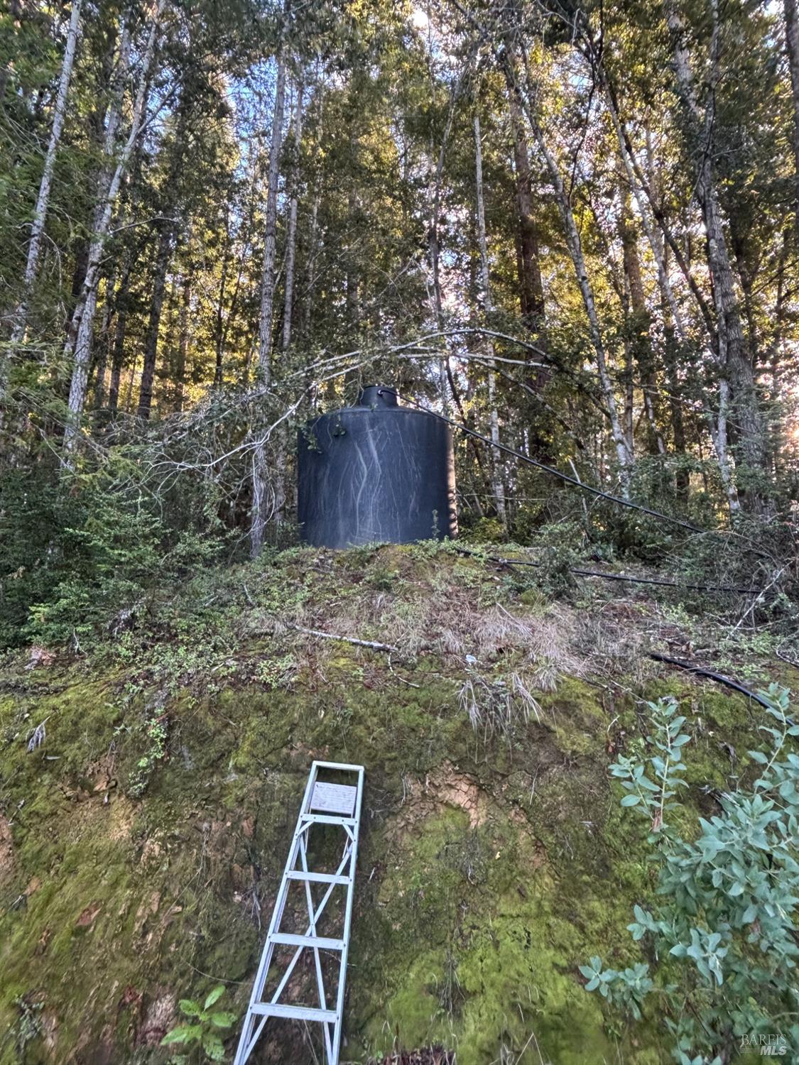 36000 Nash Mill Road