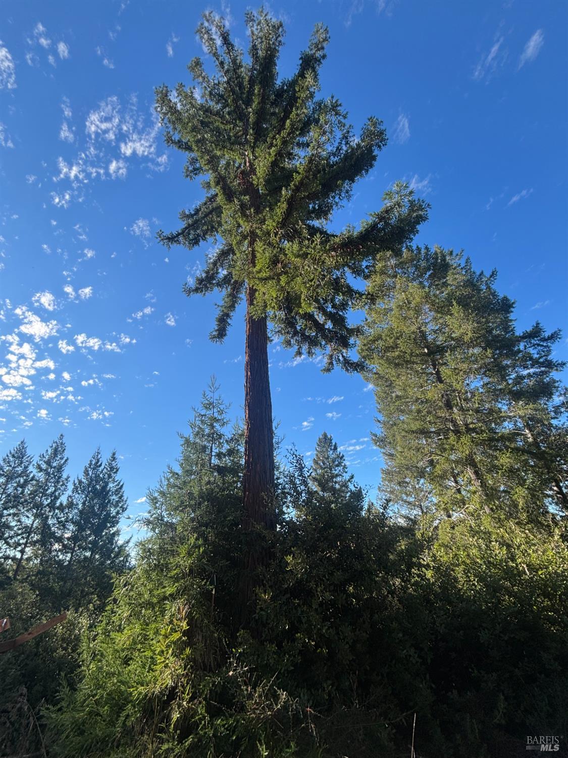 36000 Nash Mill Road