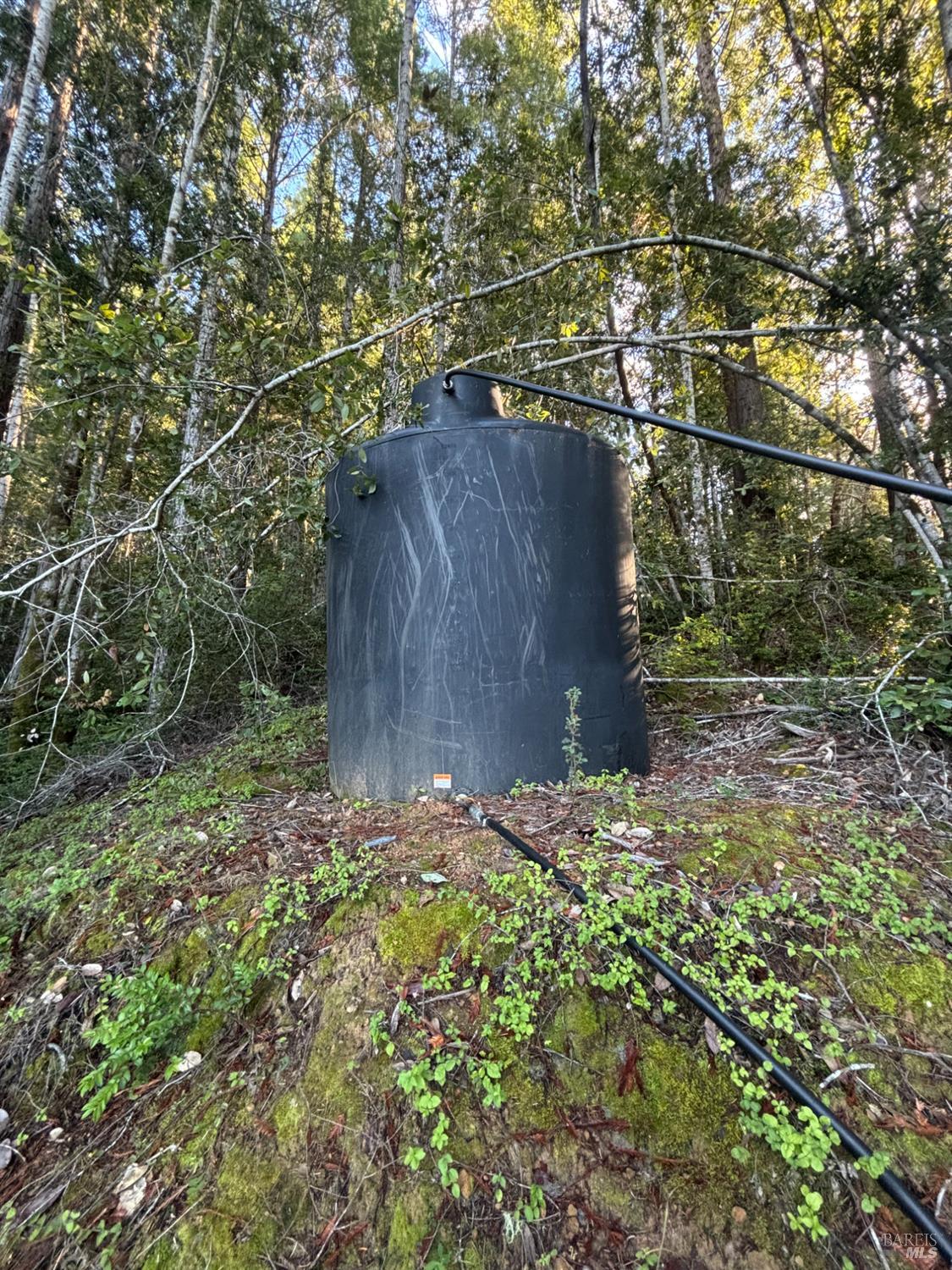 36000 Nash Mill Road