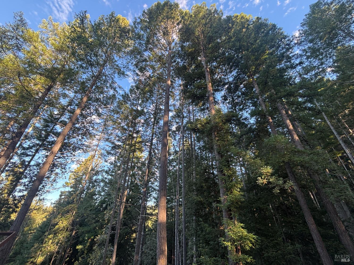 36000 Nash Mill Road