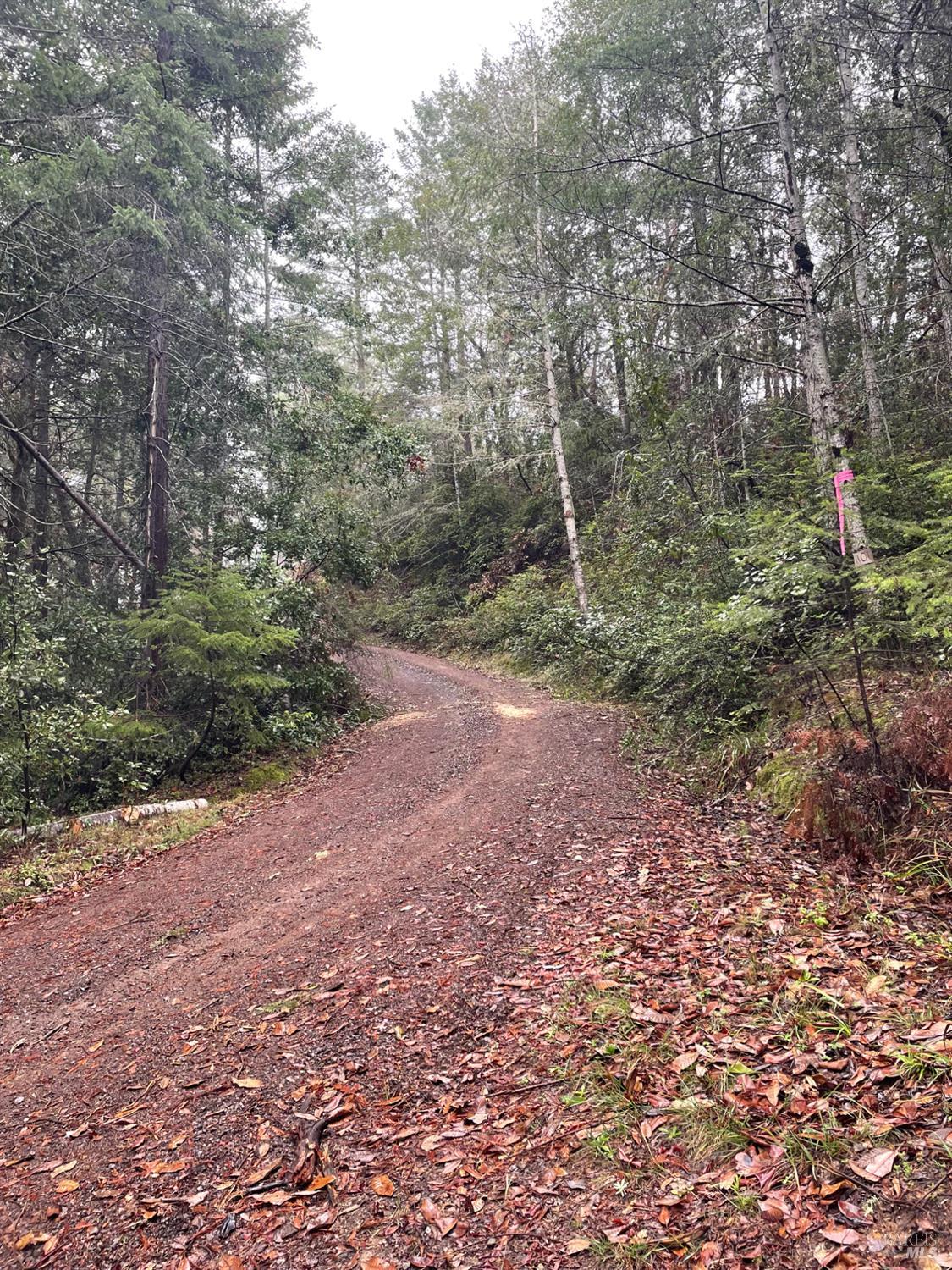 36000 Nash Mill Road