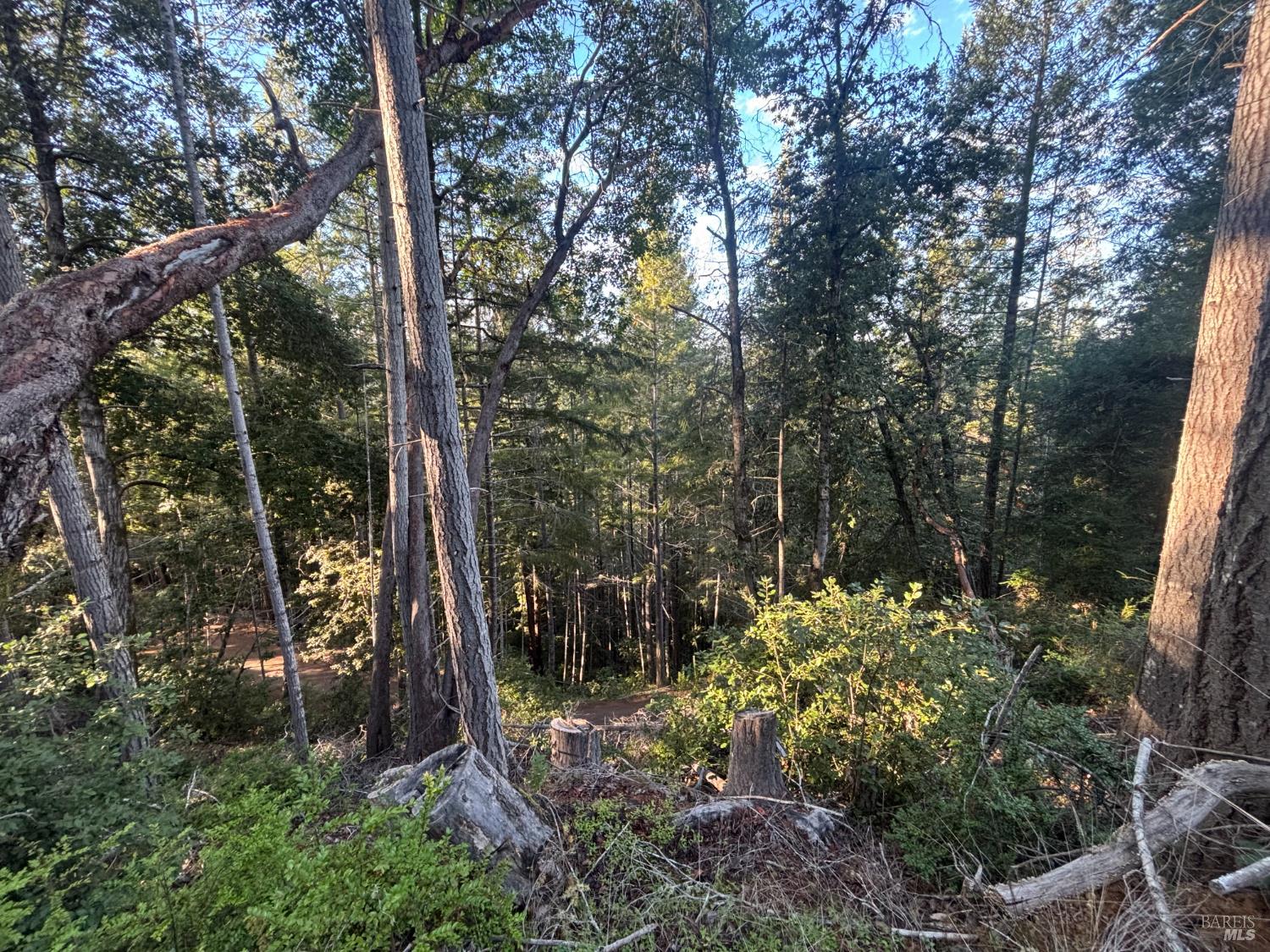 36000 Nash Mill Road