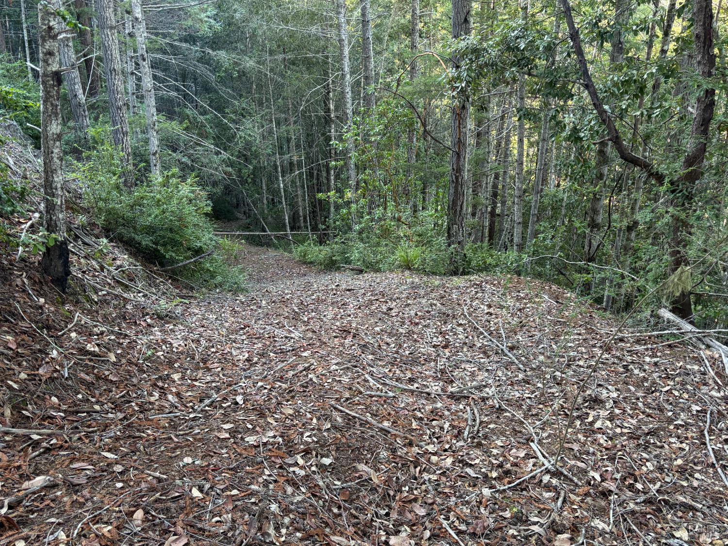 36000 Nash Mill Road