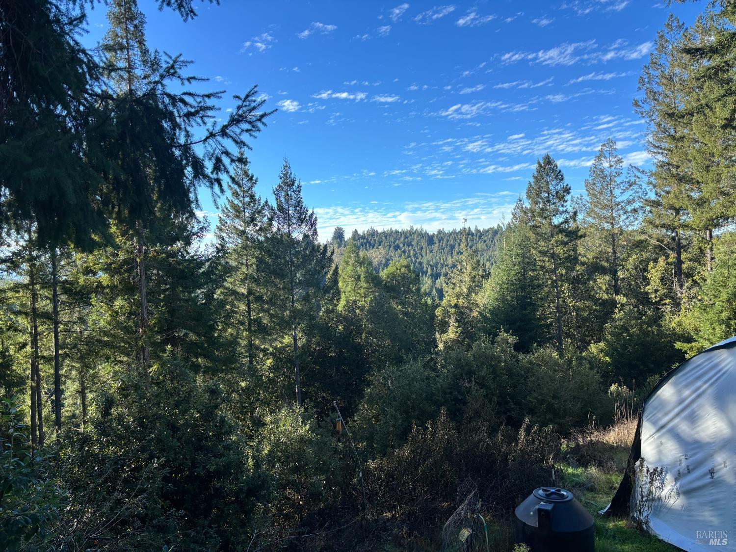 36000 Nash Mill Road