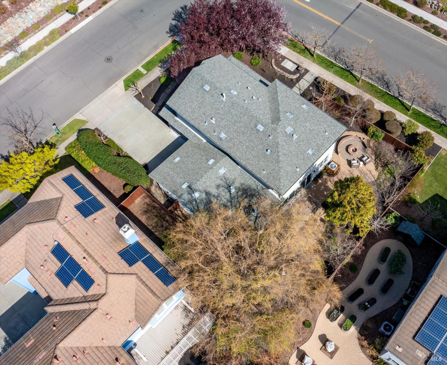 1203 Peppergrass Street