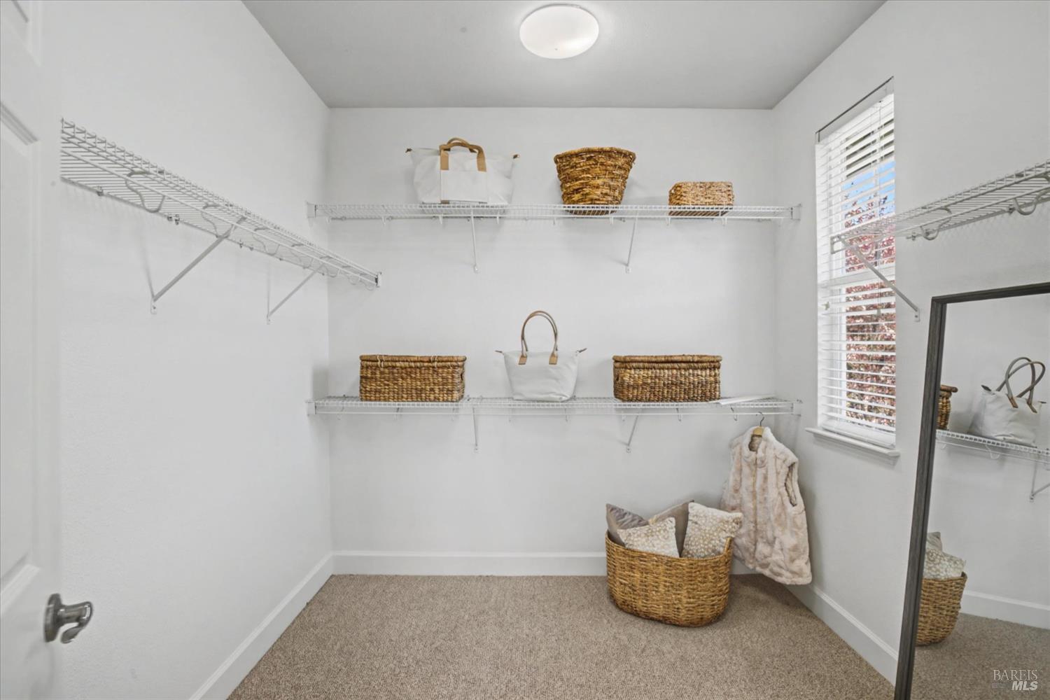 1203 Peppergrass Street