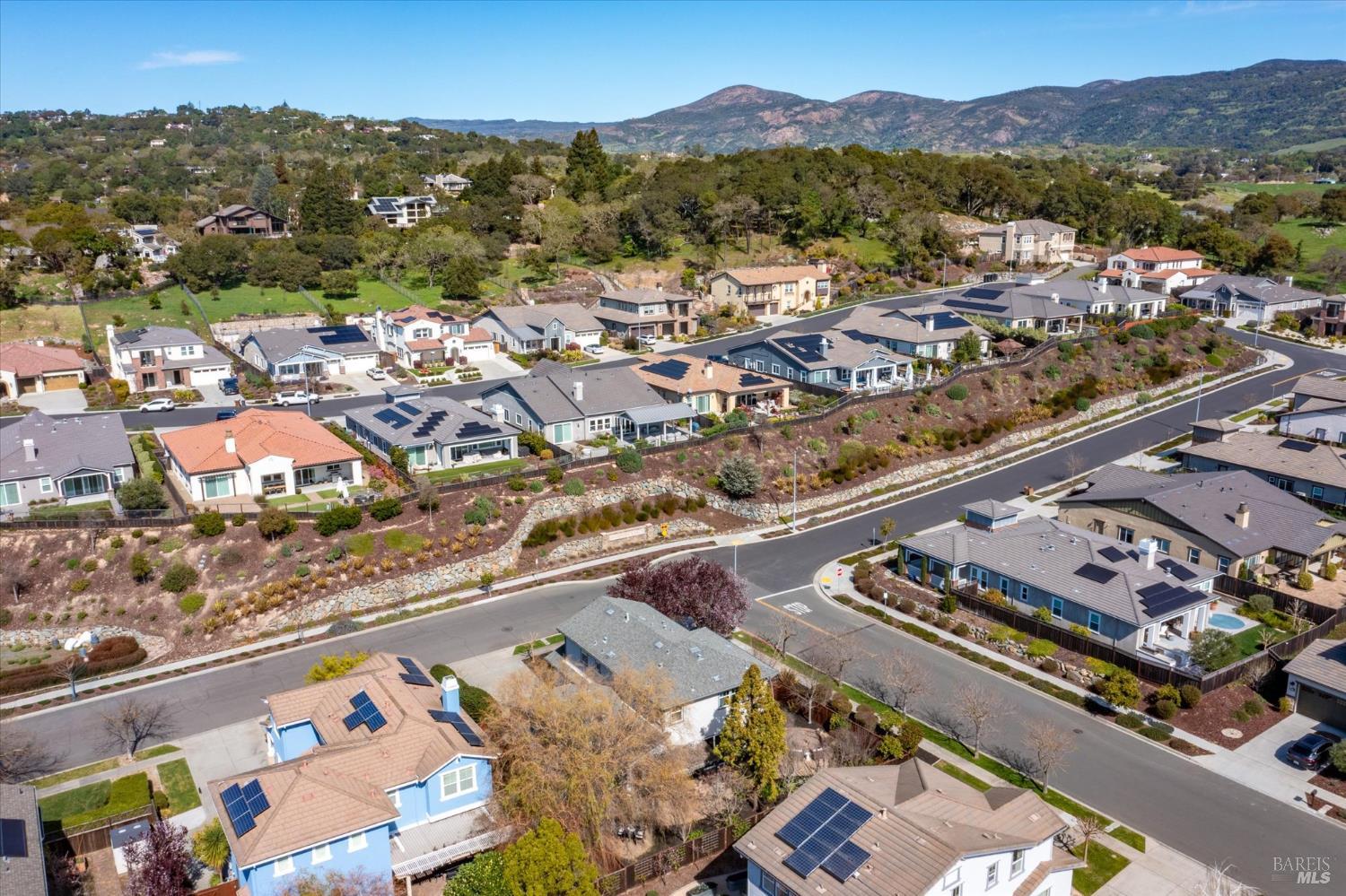 1203 Peppergrass Street