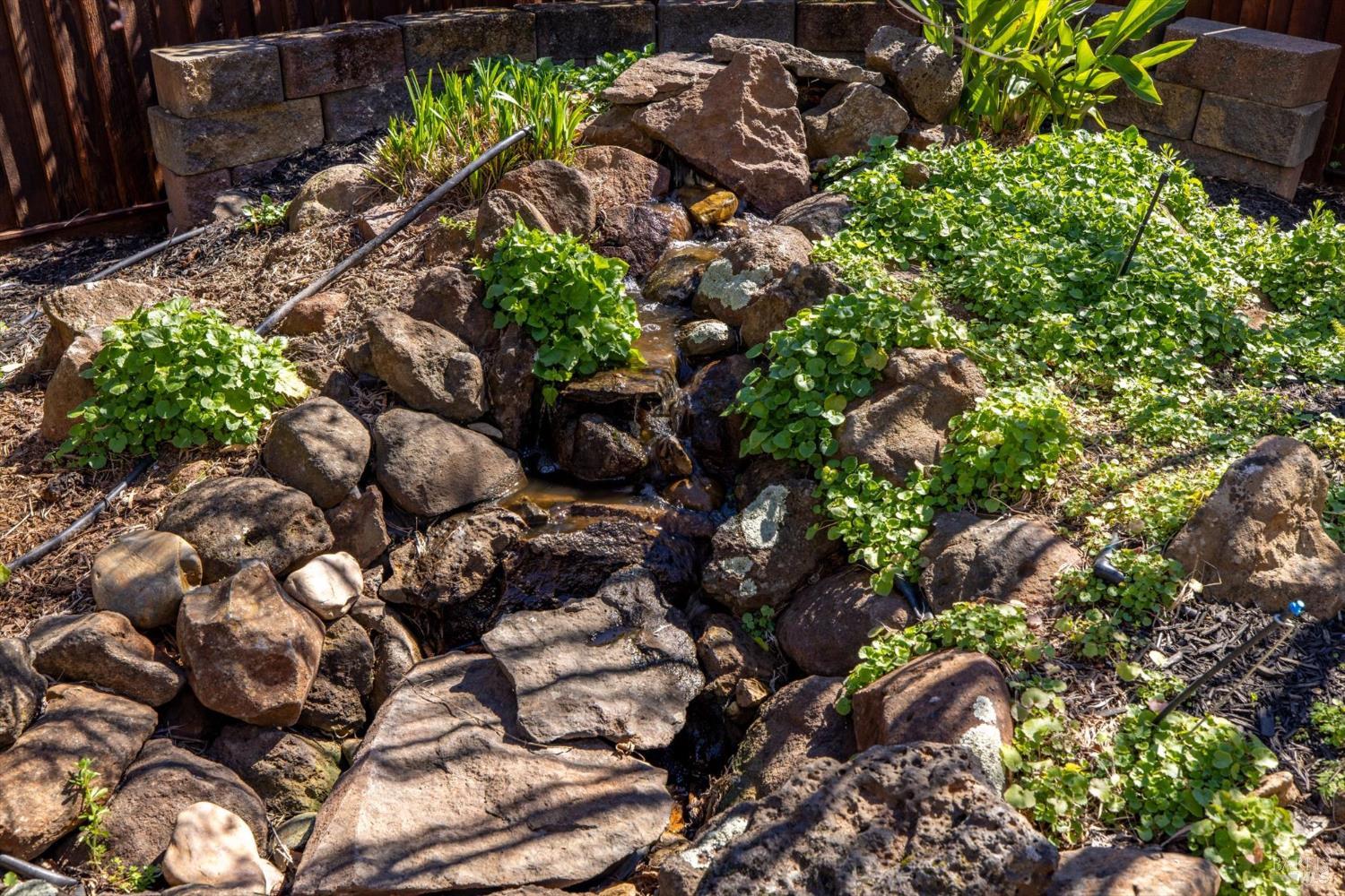 1203 Peppergrass Street