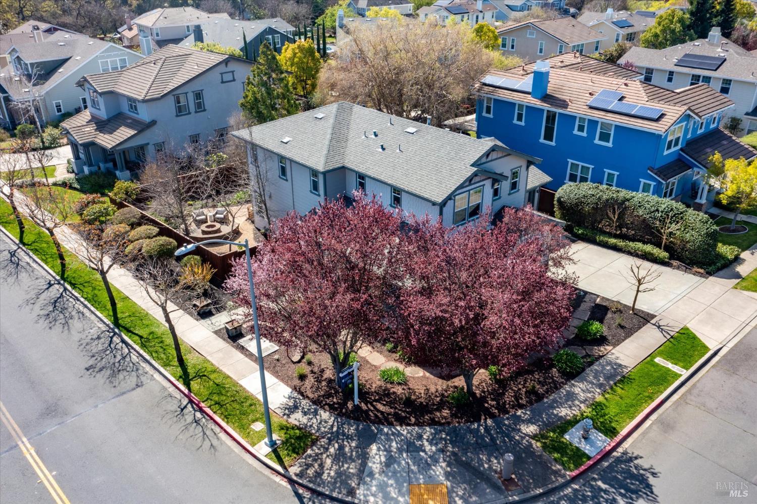 1203 Peppergrass Street