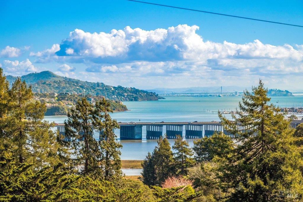 146 Morning Sun Avenue