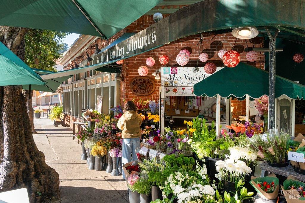 146 Morning Sun Avenue